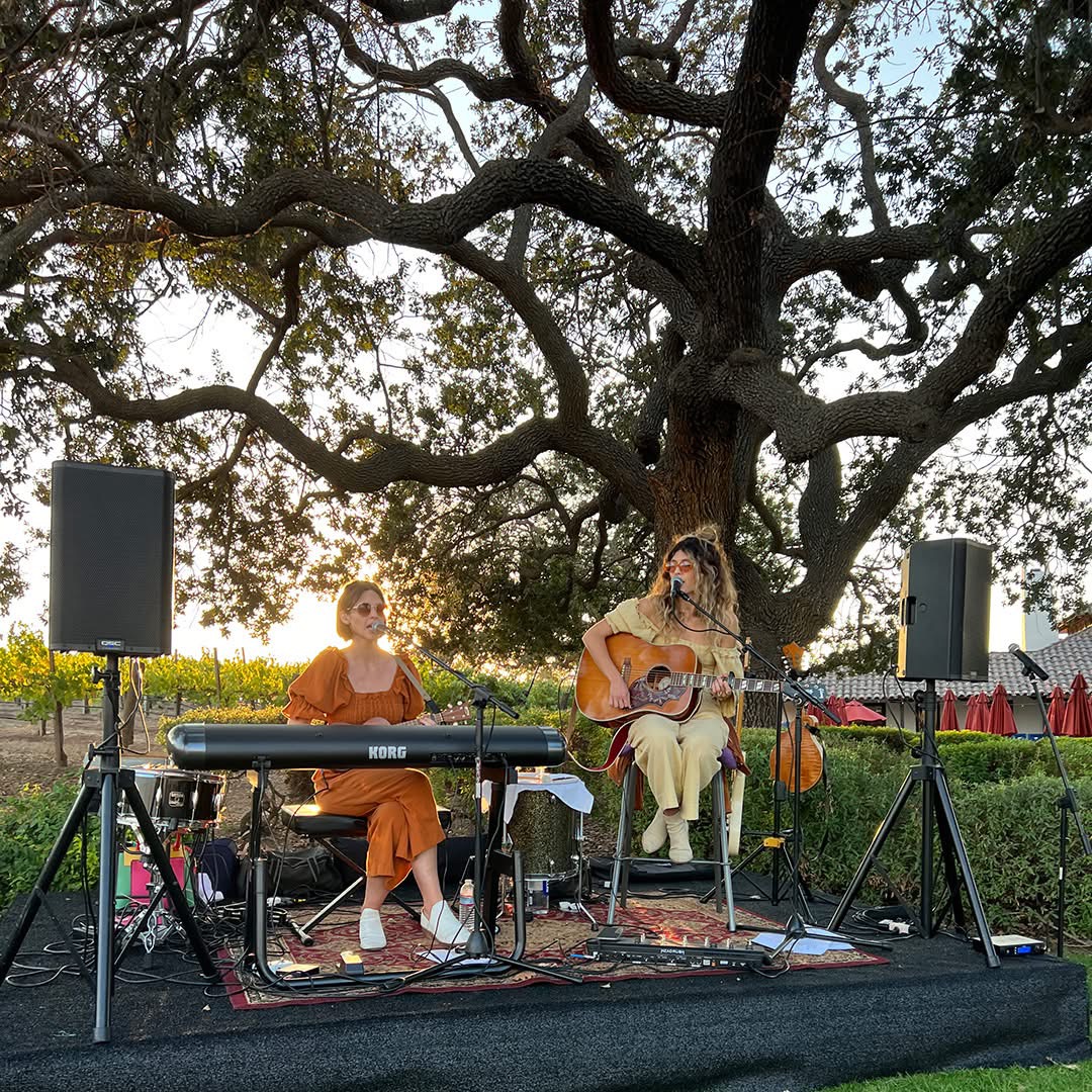 Outdoor live performance with speaker stands